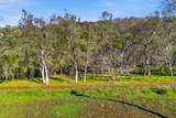 4135 Raphael Drive - Photo 4