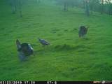 0 Vaira Ranch - Photo 9