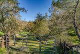 52 David Drive - Photo 19