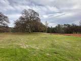 23003 Darkhorse Drive - Photo 12