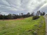 23003 Darkhorse Drive - Photo 15