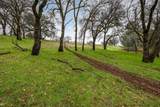 23003 Darkhorse Drive - Photo 21