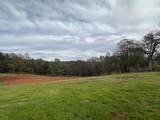 23003 Darkhorse Drive - Photo 5