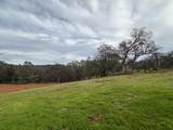 23003 Darkhorse Drive - Photo 7