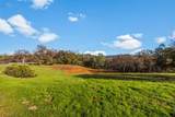 23003 Darkhorse Drive - Photo 8