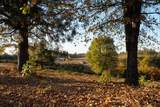 2635 Cleese Road - Photo 12