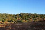 2635 Cleese Road - Photo 13
