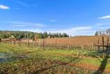 2635 Cleese Road - Photo 24
