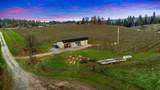 2635 Cleese Road - Photo 8