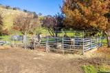 3455 Laguna Creek Trail - Photo 12