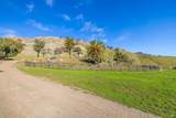 3455 Laguna Creek Trail - Photo 6
