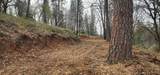 0 Sly Park - Photo 11