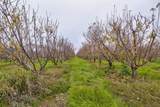 0 Ave 48 - Photo 1