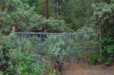 2676 Silver Mountain Road - Photo 73