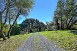 4656 Cosumnes View Trail - Photo 43