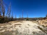 1465 Bald Rock Road - Photo 4