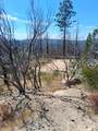 0 Bald Rock Road - Photo 5