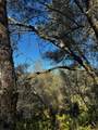 15806 Perimeter Road - Photo 9