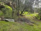 4394 Appaloosa Way - Photo 7