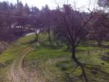 6371 Mother Lode Drive - Photo 10