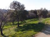 6371 Mother Lode Drive - Photo 9