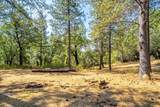 5595 Hackomiller Road - Photo 13