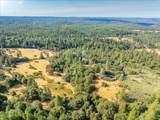 5595 Hackomiller Road - Photo 21