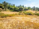 5595 Hackomiller Road - Photo 34
