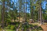 105 Avery Sheep Ranch Road - Photo 41
