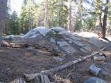 175 Silver Tip Drive - Photo 1