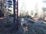 175 Silver Tip Drive - Photo 14