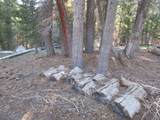 175 Silver Tip Drive - Photo 16