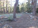 175 Silver Tip Drive - Photo 22