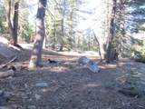 175 Silver Tip Drive - Photo 3