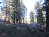 175 Silver Tip Drive - Photo 4