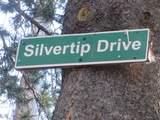 175 Silver Tip Drive - Photo 9