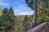 29667 Lassen Drive - Photo 33