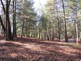 0 Forest Lake Place - Photo 18