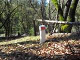 0 Forest Lake Place - Photo 11
