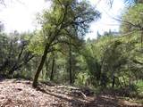 0 Forest Lake Place - Photo 12