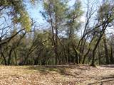0 Forest Lake Place - Photo 2