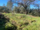 16194 Vierra Road - Photo 6