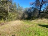 16194 Vierra Road - Photo 7