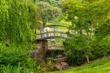 265 Grapevine Ravine Lane - Photo 10