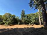 901 Bald Mountain Road - Photo 2