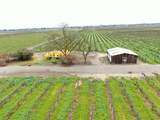 21610 Devries Road - Photo 8