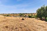 1333 Villagio Drive - Photo 66