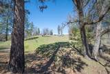 5252 Railroad Flat Road - Photo 4