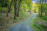 14437 Lightning Tree Road - Photo 8