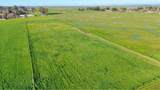 10691 Calvine Road - Photo 44